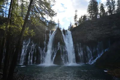 DSC_5950 (Large).JPG